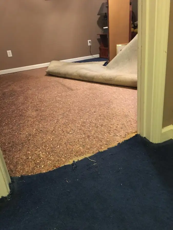 Carpet pad removal revealing water damage during Drying & Dehumidification in Lucas Valley-Marinwood
