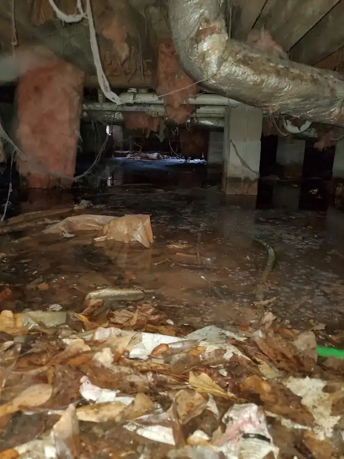 Crawl space flood assessment for Commercial Water Damage Restoration in Lucas Valley-Marinwood